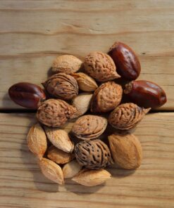 Nuts