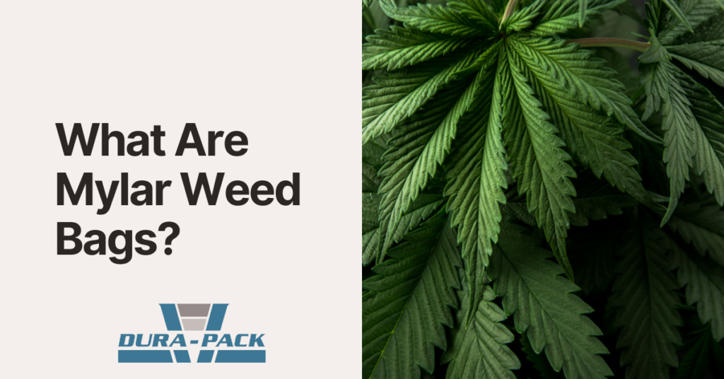 What Are Mylar Weed Bags